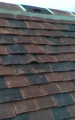 bat access ridges and tiles