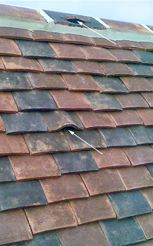 Tudor Roof Tiles Blog 2020 page 1(4)